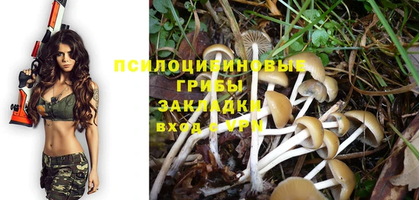 мет Богородицк